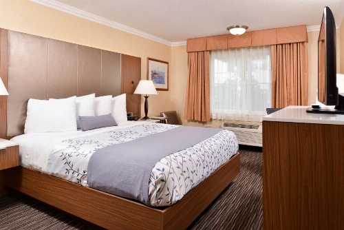 Best Western Airpark Hotel-Los Angeles LAX Airport image 10